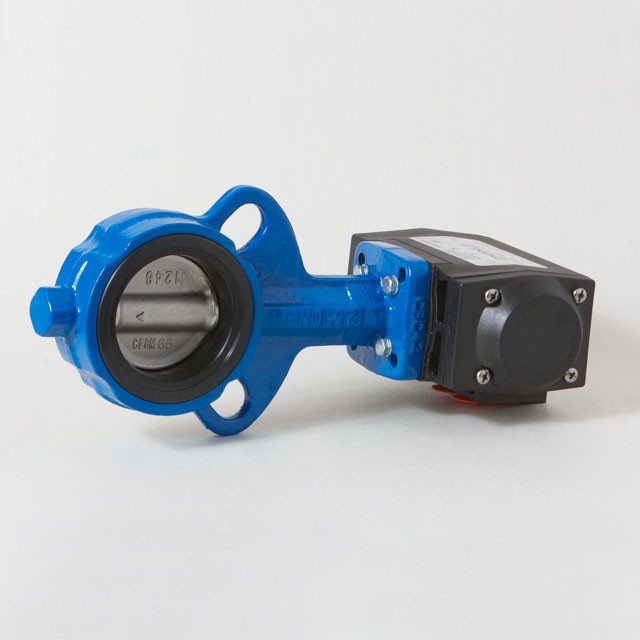 Double Acting 65mm Butterfly Valve