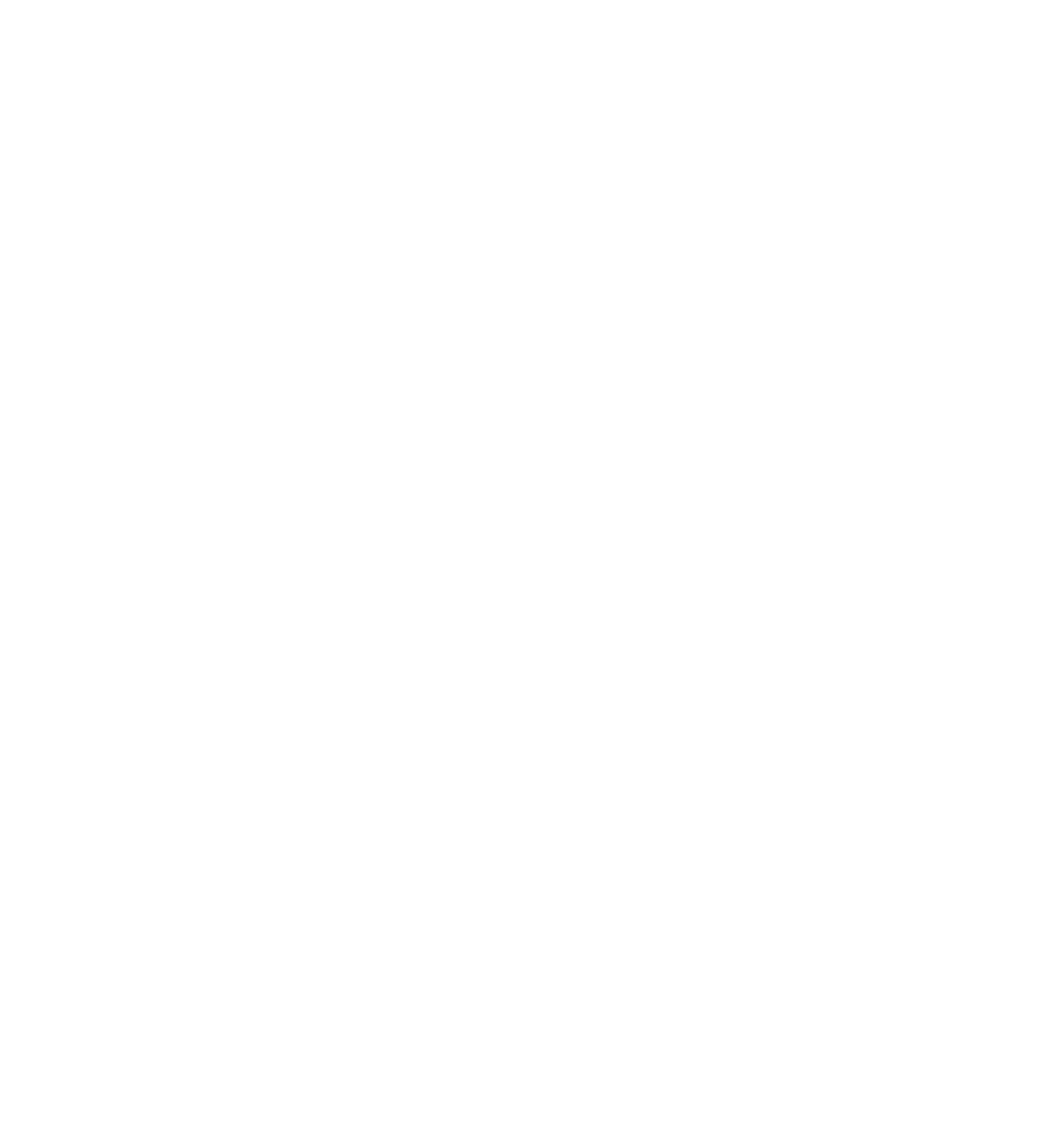 Magnum Magnum Logo White